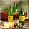 Bottles of apple juice